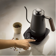 Temperature Control Coffee Kettle